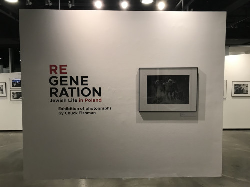 Regeneration gallery exhibit