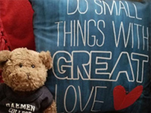 Do Small Things with Great Love on Pillow, Teddy Bear wearing a Daemen shirt