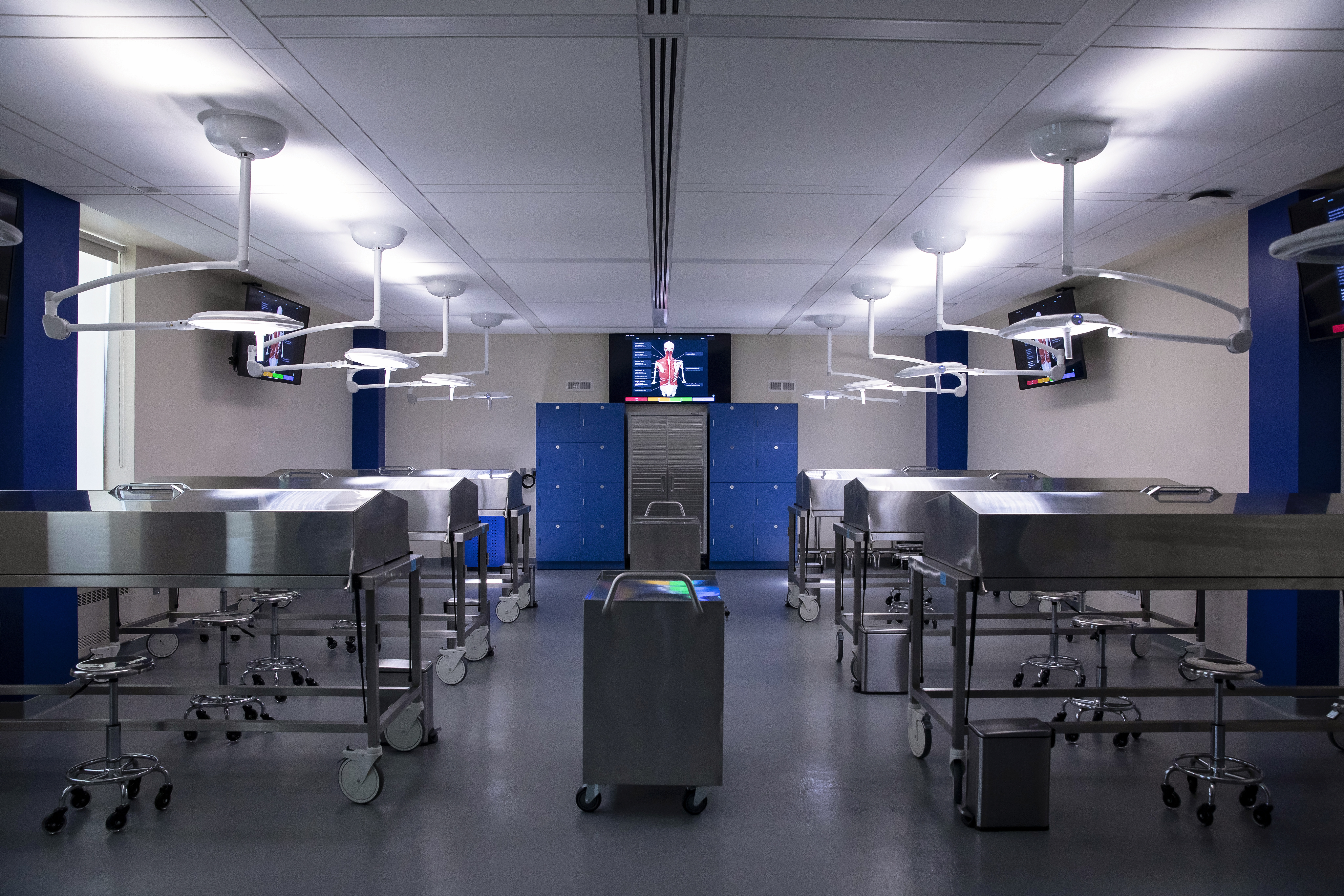 Surgical lights are turned on above cadaver dissection tables to demonstrate illumination ability