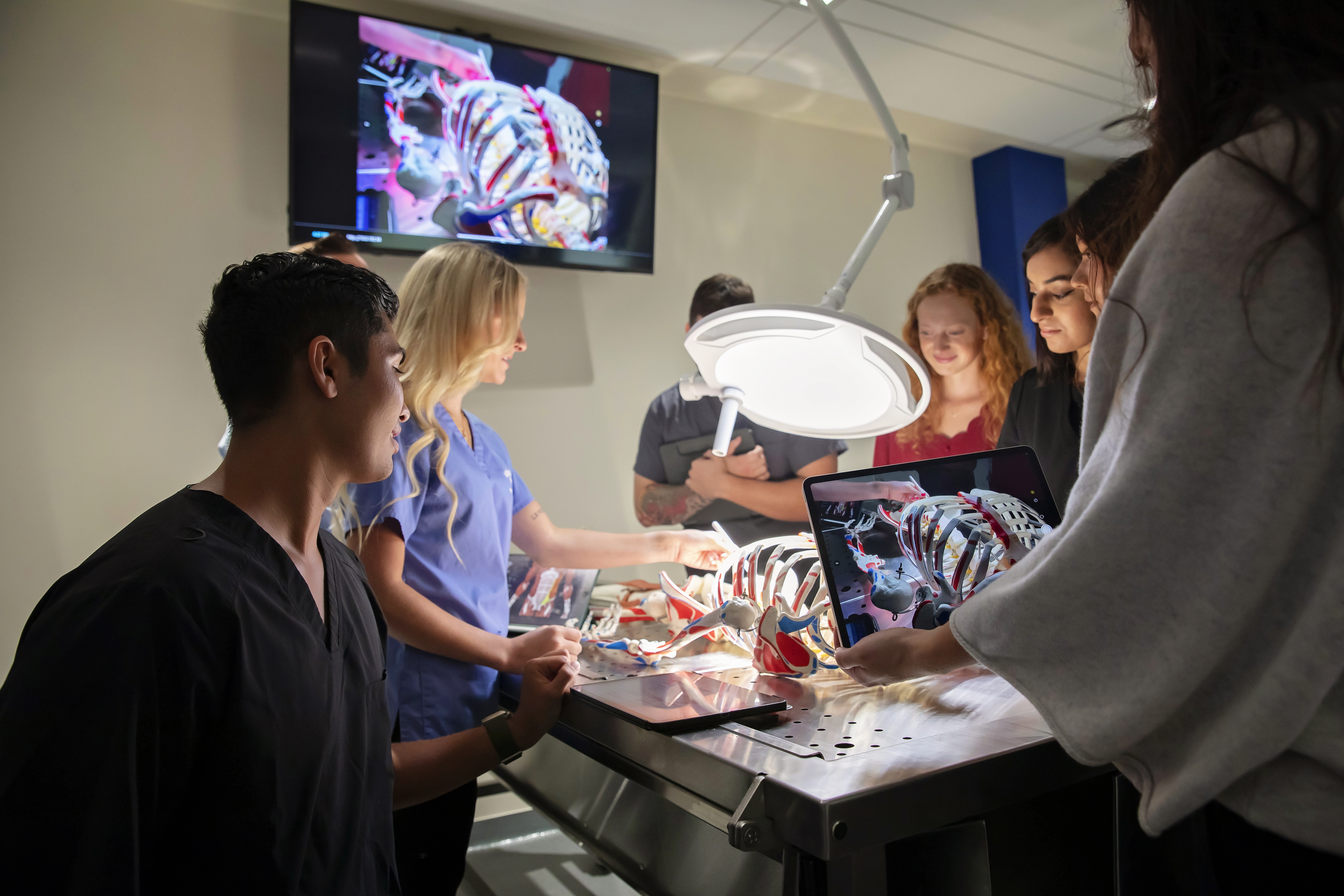 Demo of PA and PT graduate students learning from a skeletal model lying on a dissection table (to simulate human cadaver dissection) with its image projected to a wall mounted TV from and iPad for ease of viewing by students