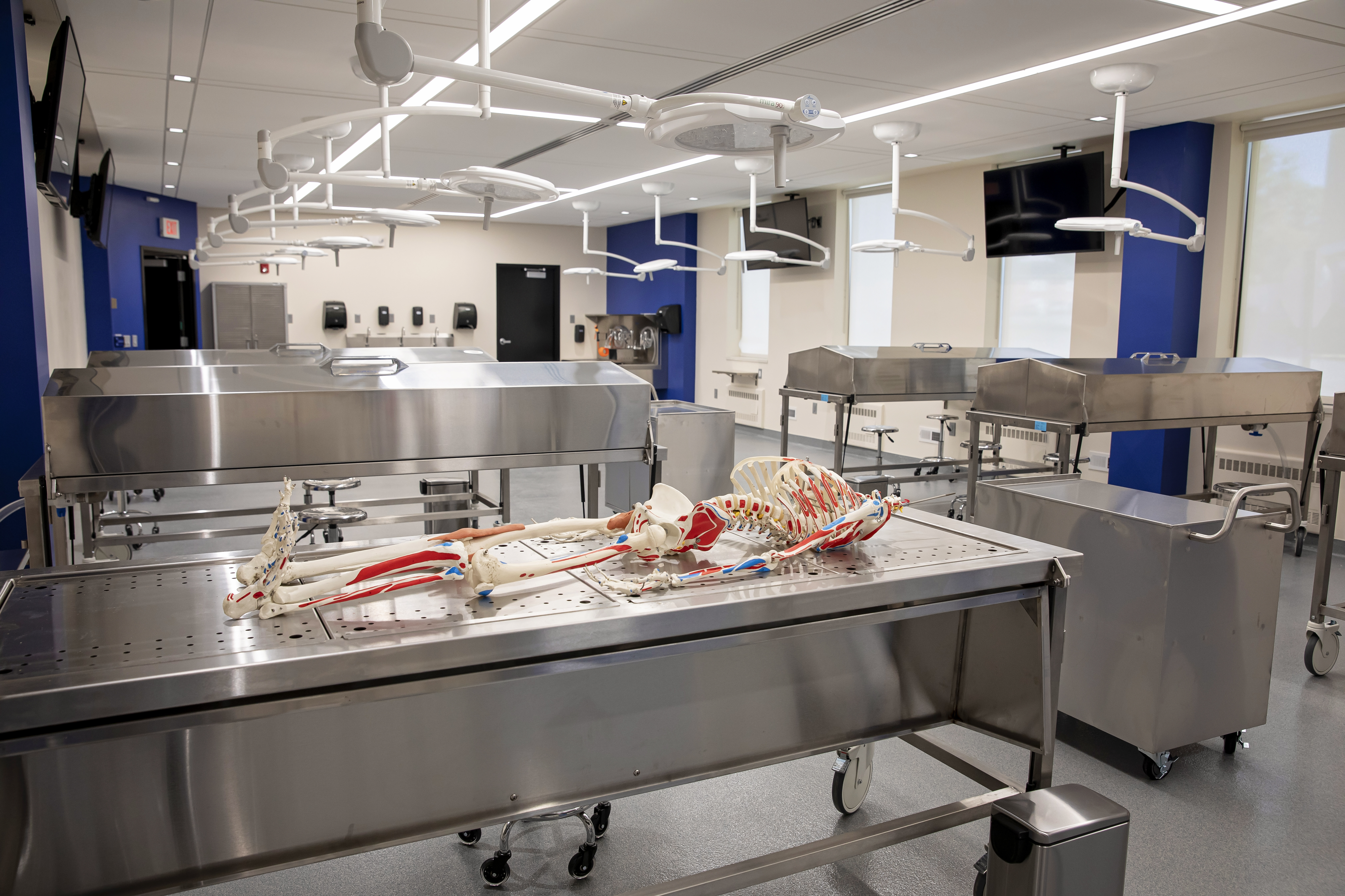 Linear LED ceiling lighting illuminates cadaver dissection tables, surgical lighting above each table, and multiple wall mounted monitors to project real-time video of anatomy dissection and structure identification are all visible.