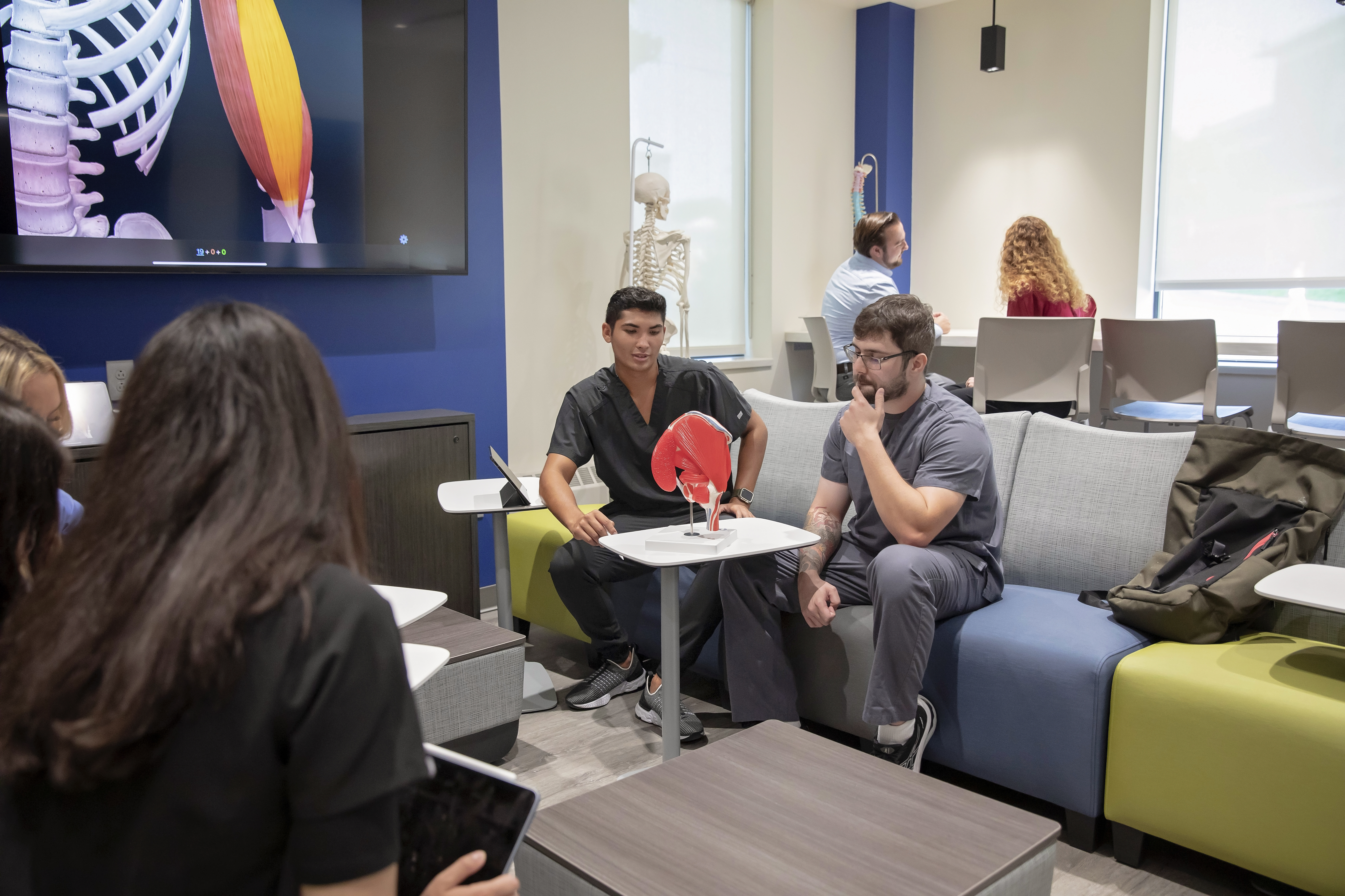 PA and PT graduate students studying anatomy in the dedicated Gross Anatomy Graduate PA and PT Study Room. Students are seated on various configurations of flexible furniture including couches and countertop-high chairs 