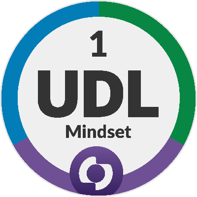 UDL Mindset