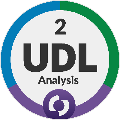 UDL Analysis