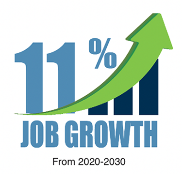 11% job growth
