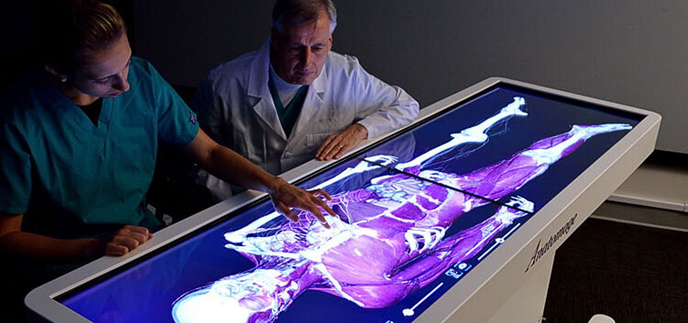 Two doctors using an Anatomage Anatomical table