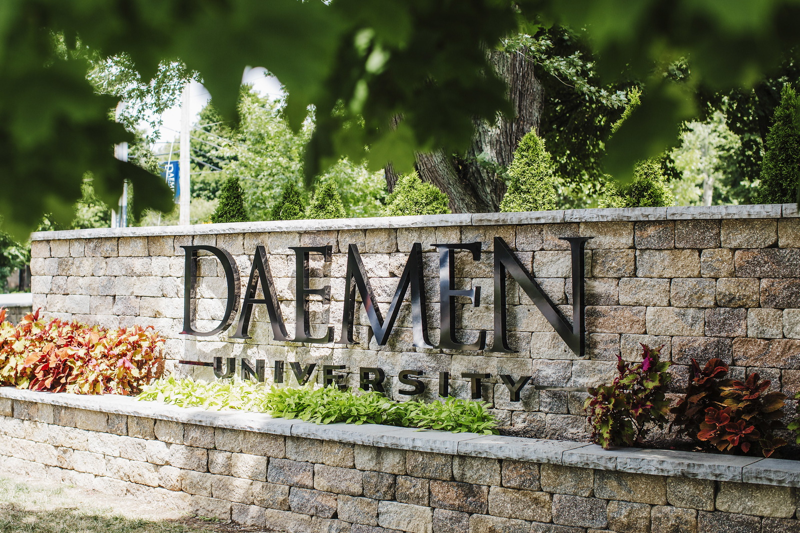 Daemen Recognized as a University in Milestone 75th Anniversary Year
