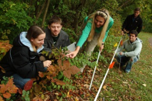 Brenda Young and students outside on Daemen's nature trail