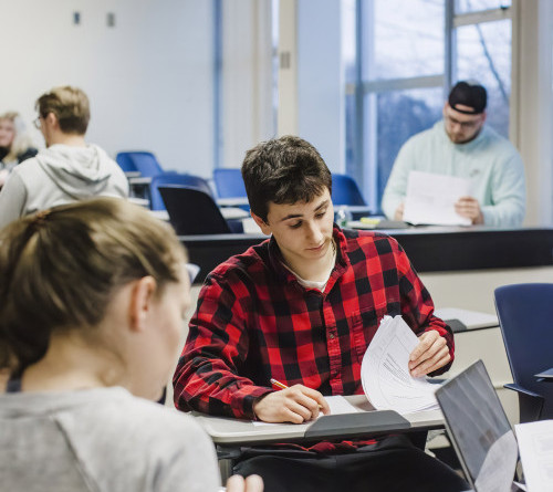 students studying 