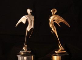 Daemen Tell Awards